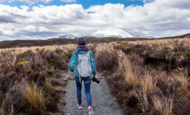 5 reasons why banishing backpackers and targeting wealthy tourists would be a mistake for NZ