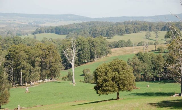 Rural NSW regions with more reliable rainfall attracting buyers: HTW