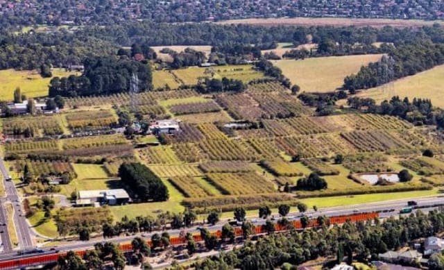 $90 million plus Wantirna South apple orchard holding sold through Savills