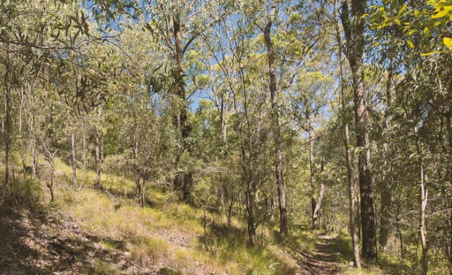 How urban bushland improves our health and why planners need to listen: Pierre Horwitz