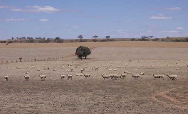 How drought is affecting water supply in Australia’s capital cities