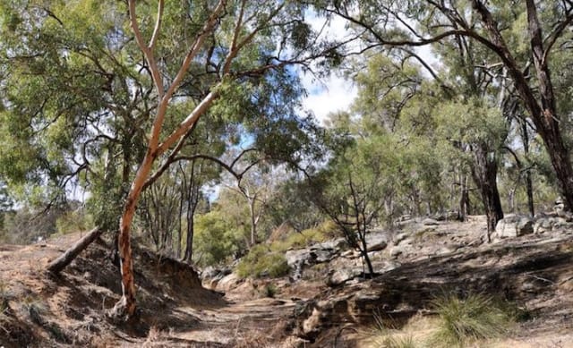 Farm values remain strong in Central Tablelands' rural market: HTW rural 