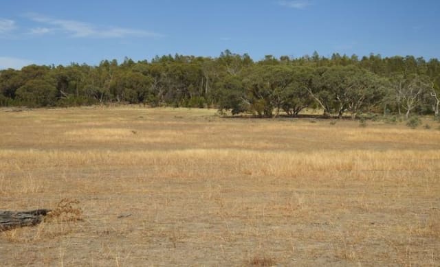 Demand for Central Tablelands rural properties remains strong: HTW rural