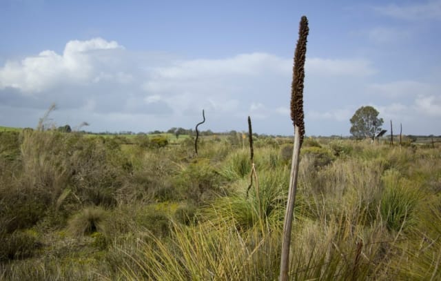 Victorian land sales are holding up as grants kick in: Oliver Hume