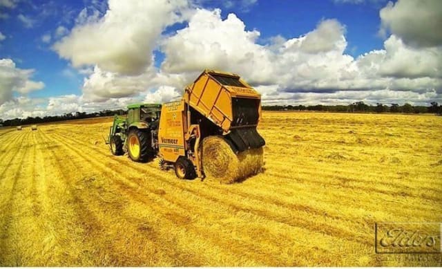 Farmers and services industry the winners under the revised TPP deal: Giovanni Di Lieto