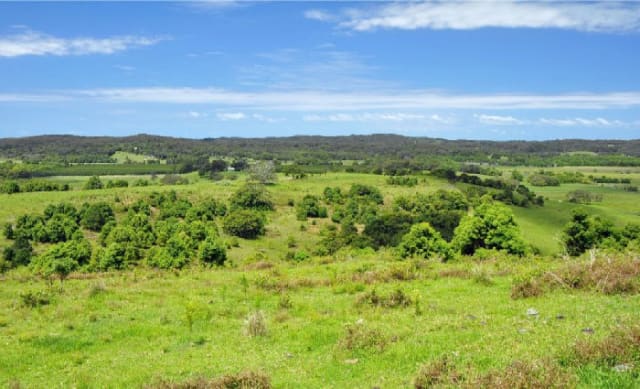 Pat Rafter buys Byron Bay paddock