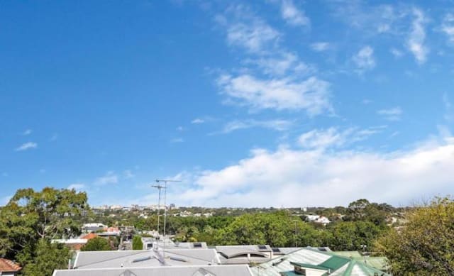 Trees can add $50,000 value to a Sydney house, so you might want to put down that chainsaw