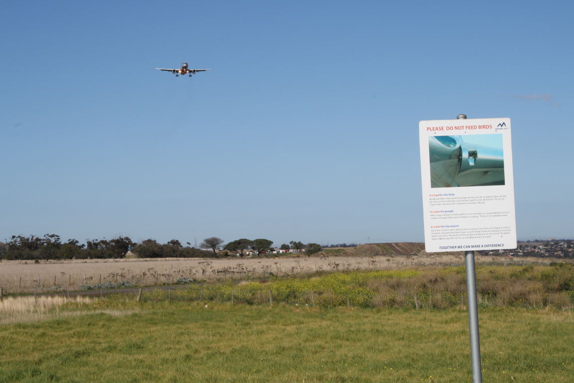 Half of the Melbourne Airport Rail Link is currently under construction