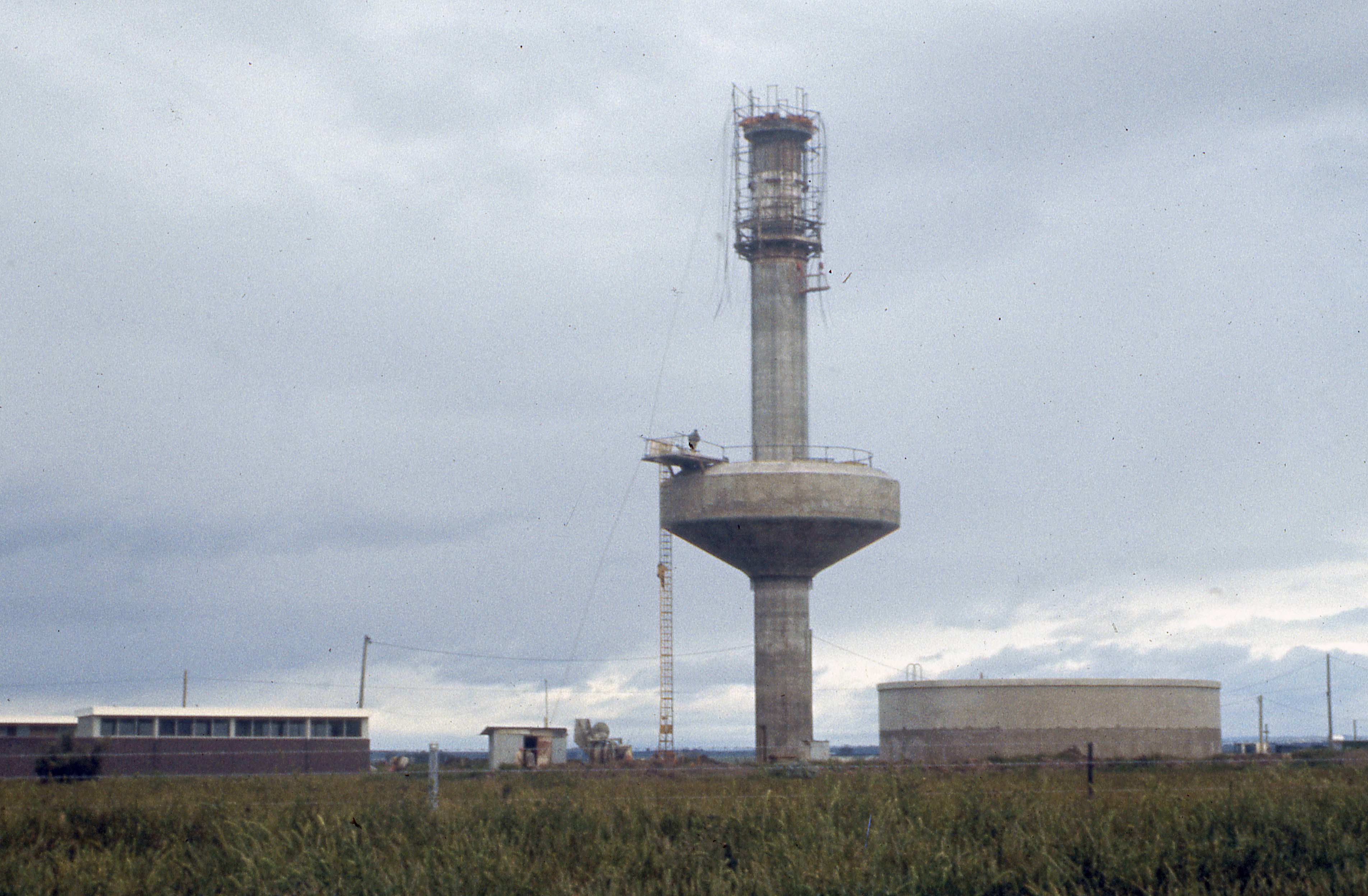 Tiger loses its tail!