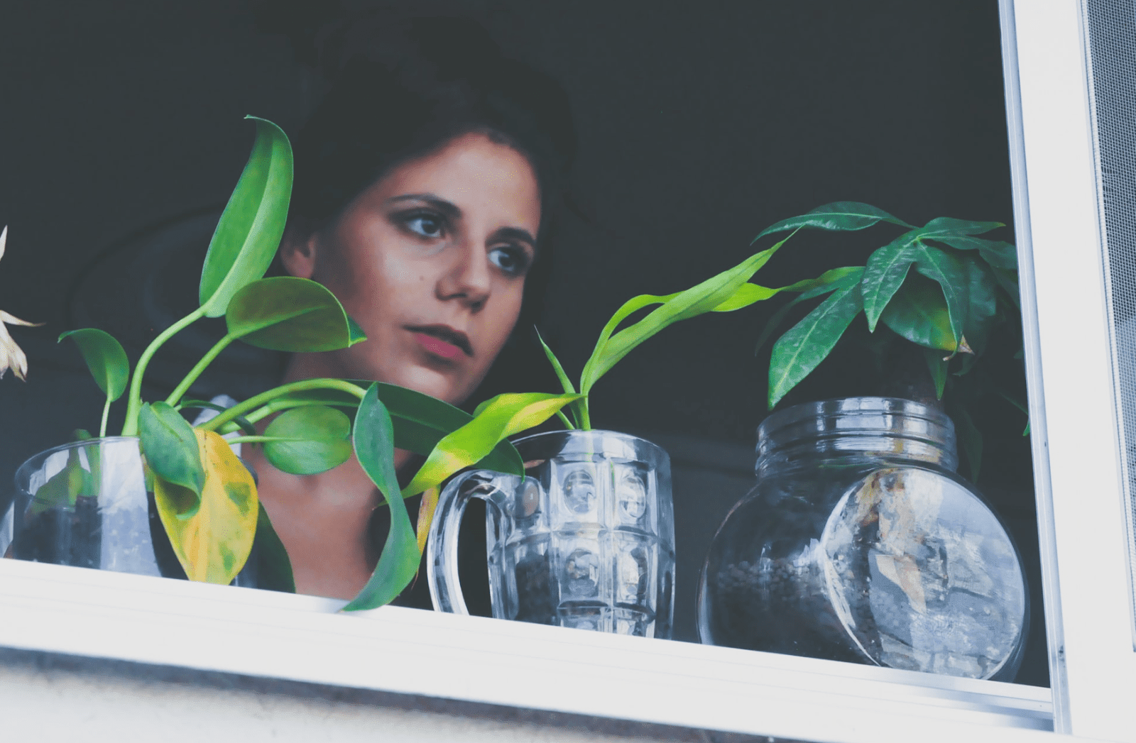 10 Benefits of Having Plants in the House