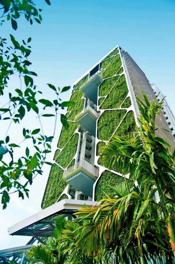 A green solution to an unsightly problem