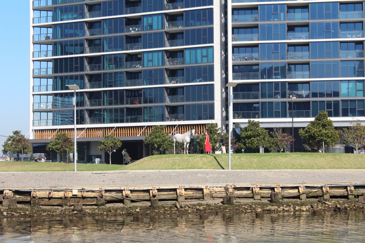 Yarra Point the 2014 belle of the ball