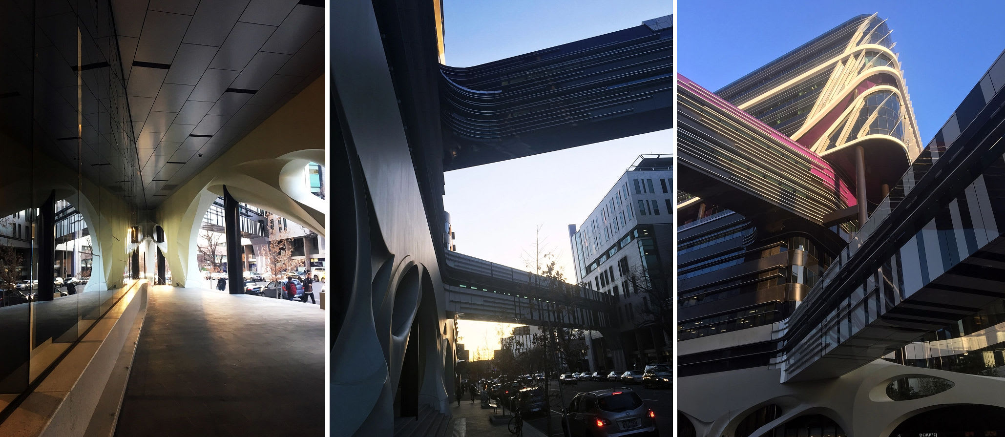 Red+Black review: The VCCC - the new home of Peter Mac