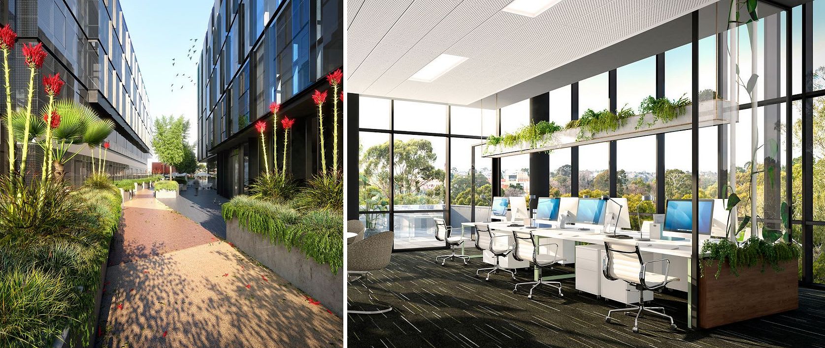 Sustainability in the commercial sphere: RotheLowman's Michael Banak talks to Urban.com.au