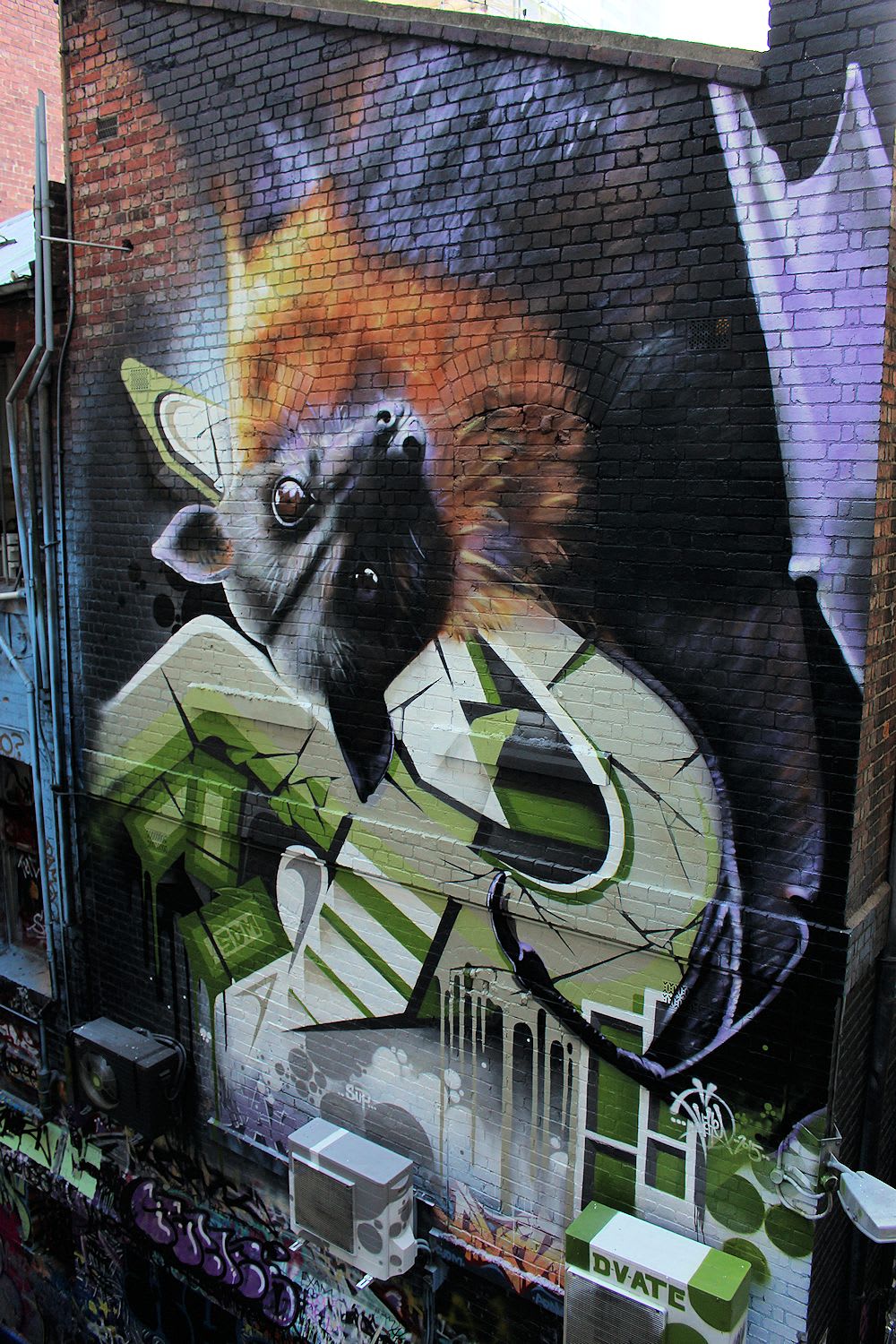Rutledge Lane reaches for the sky