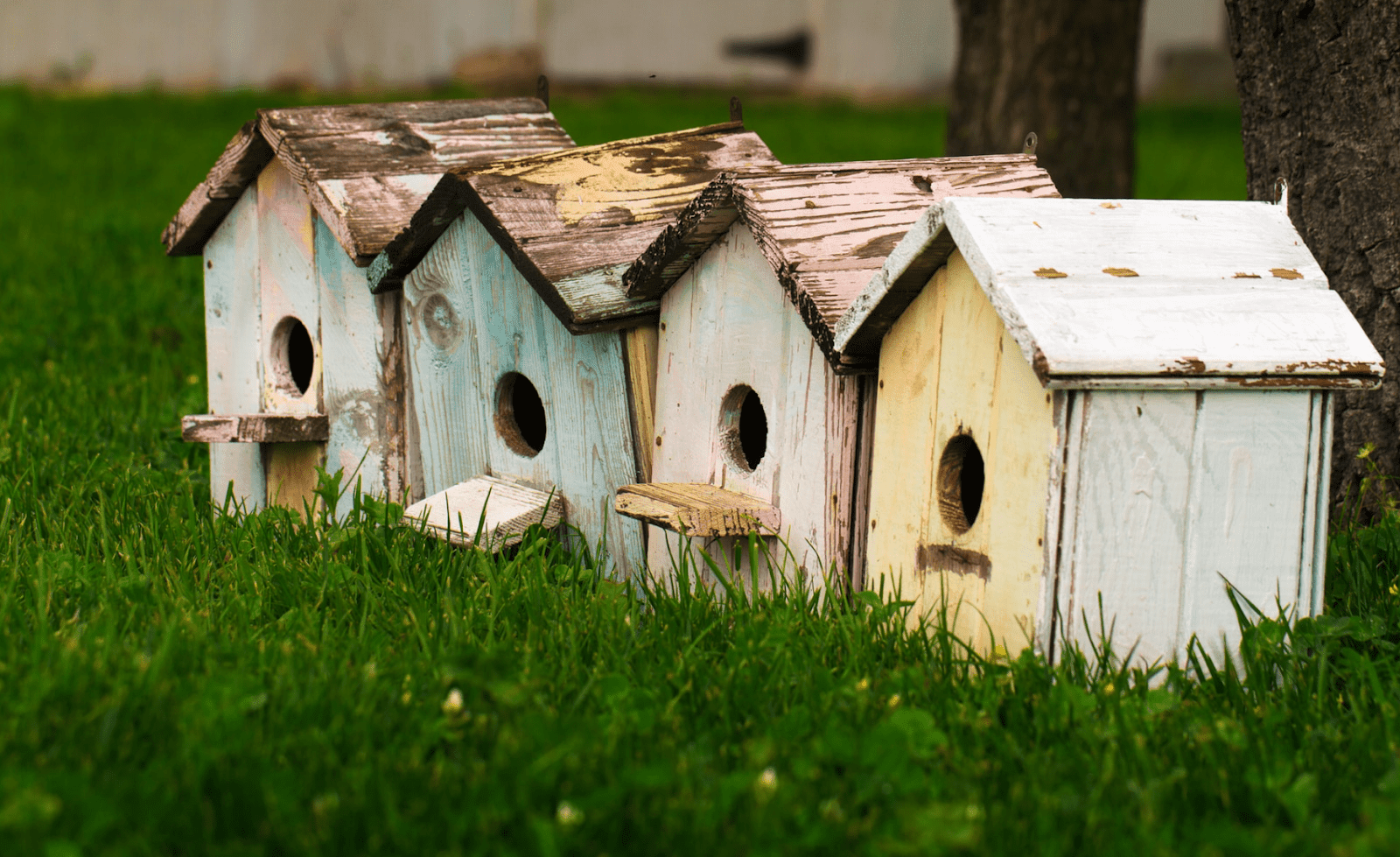 Understanding the Property Cycle When Buying