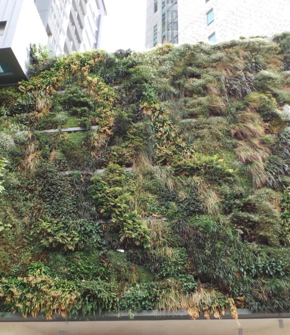 Image: supplied Designing and building green is one thing, but what comes next?
