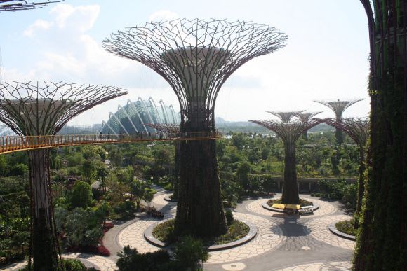 A fantastic concept now baring reward - Gardens by the Bay Five Singapore buildings you'd love to see in Melbourne