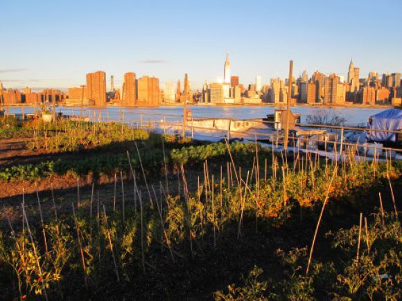 Eagle Street Farms overlooking New York City. Image credit: rooftopfarms.org Roof-top farming: Part of the future of inner-city living