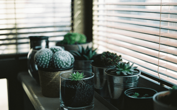 A look at 2019's top interior decor trends