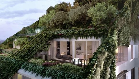 Image credit: Candalepas Associates Image credit: Candalepas Associates