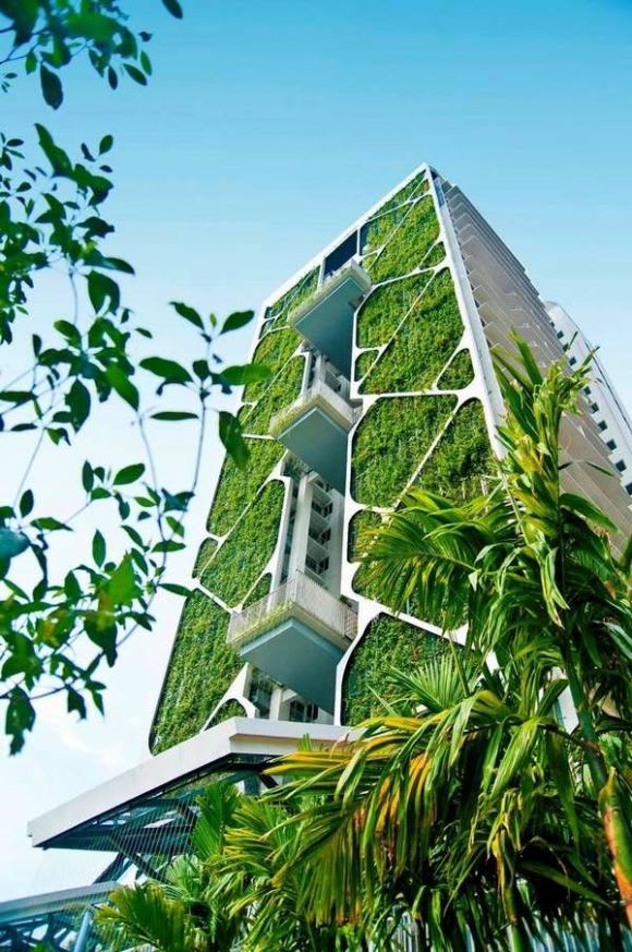 Contemporary and creative but not compulsory. Image courtesy Minimalisti A green solution to an unsightly problem