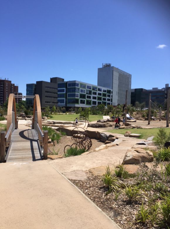Return to Royal Park. Image supplied Return to Royal Park: the risk-reward equation of play