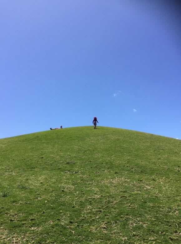 Return to Royal Park. Image supplied Return to Royal Park: the risk-reward equation of play