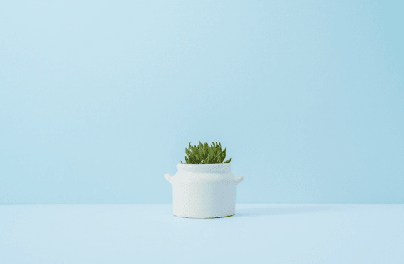 A look at 2019's top interior decor trends