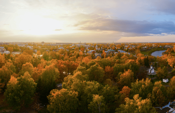 Experts comment on a strategy to green our cities before it's too late