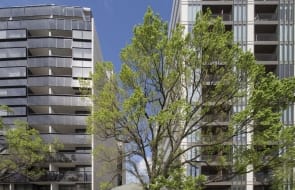 Developer could make $300,000 windfall on undeveloped North Melbourne site in nine months