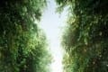 Toorak Park apartments open doors to lush parkland setting