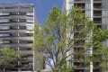 Developer could make $300,000 windfall on undeveloped North Melbourne site in nine months