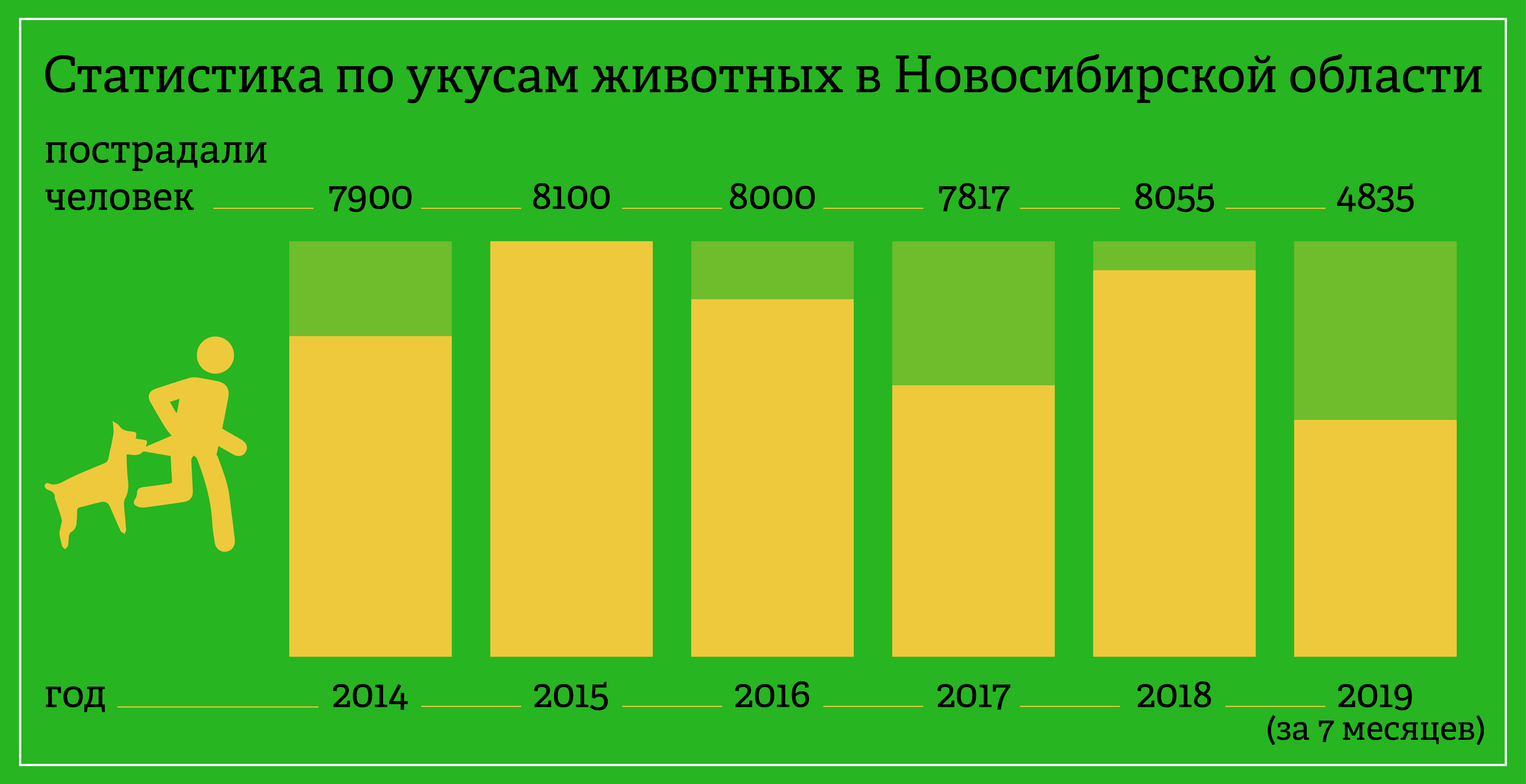 Нападения статистика