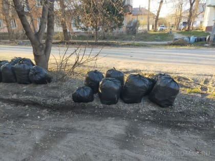 Активная борьба с несанкционированными свалками в Омском районе