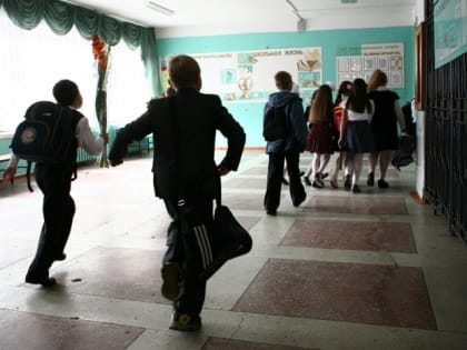 В Омске отменили многомиллионную закупку наборов по химии и физике для ОГЭ и ЕГЭ