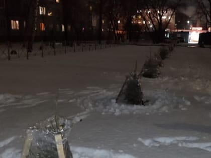 Новый бульвар Лицеистов в Чкаловском-3