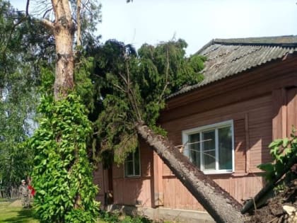 Последствия стихии