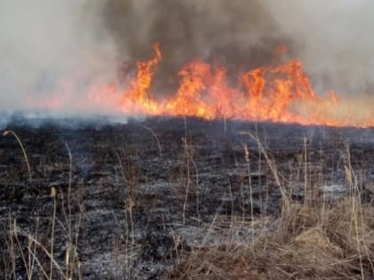 Омск окутал густой смог