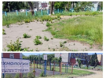 «Старт для новых спортивных побед»