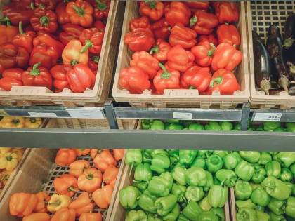 Инспектор не из гаджета. Что происходит на омском рынке экспертизы?