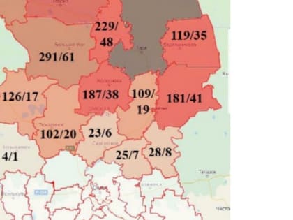 Медведи в границах Омска: почему, зачем и что с ними делать?