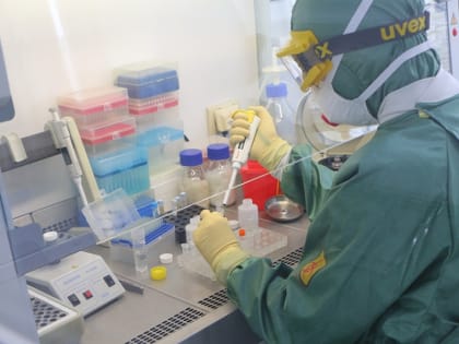 В России выявили второй случай заражения штаммом коронавируса «Кракен»