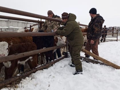 Благополучие подворья и в целом района