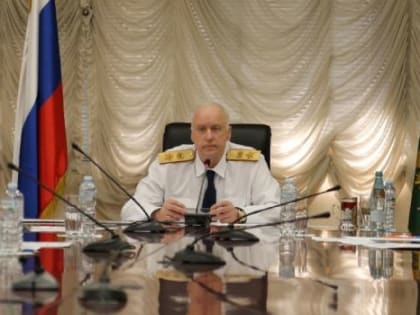 Глава СКР Бастрыкин поручил возбудить дело из-за нападения собак на женщину с детьми в Омске