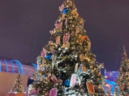 Губернатор Хоценко сообщил об особенностях омской ели на выставке «Россия» в Москве