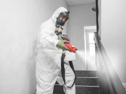 Заказать дезинфекцию в санитарной службе: виды услуг, способы обработки, преимущества обращения