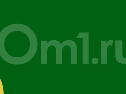 Почему не нужно ставить прививку во время эпидемии гриппа? Комментарий медика