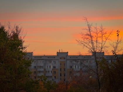 Теплая погода в Омске: начало ноября порадует жителей