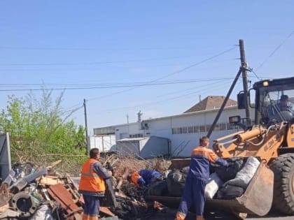 Создателей незаконных свалок в Омске будут заставлять оплачивать вывоз мусора